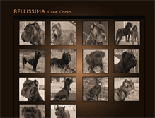 Tablet Screenshot of bellissimacanecorsos.com